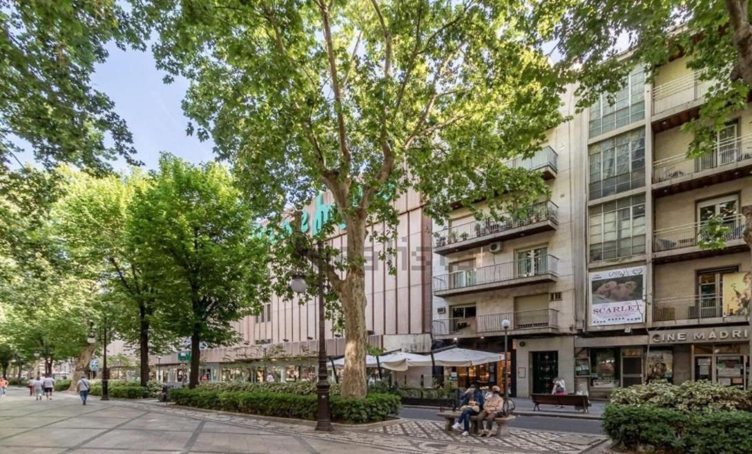 Apartamento Con Terraza A 4 Minutos De La Catedral Granada Dış mekan fotoğraf